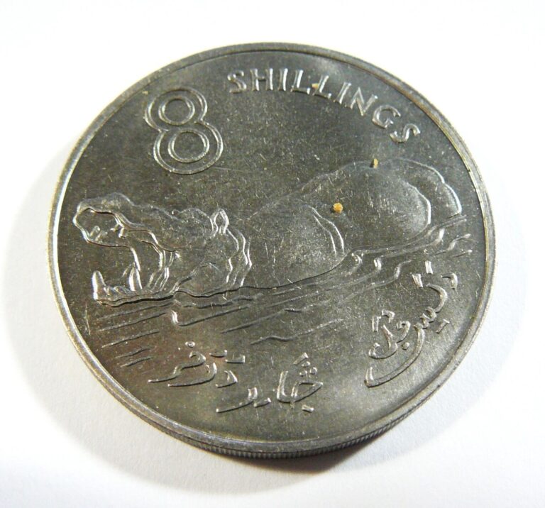 Read more about the article 1970 Gambia 8 Shillings Hippo Coin