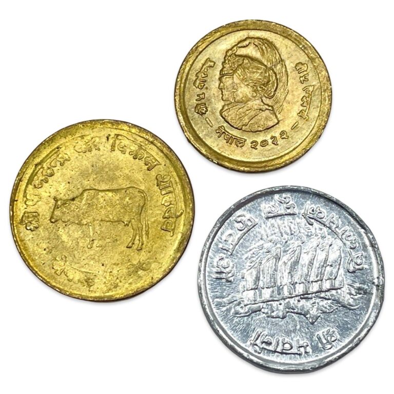 Read more about the article Lot of 3 Nepal 5 and 10 FAO Issue Paisa Coins – 1970s – AU – Combined Ship