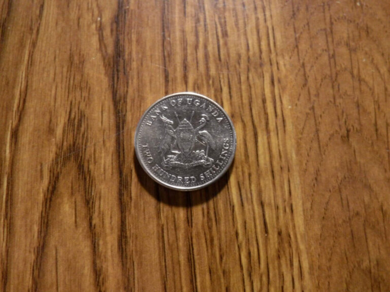 Read more about the article UGANDA 200 SHILLINGS 2007 COIN (484)