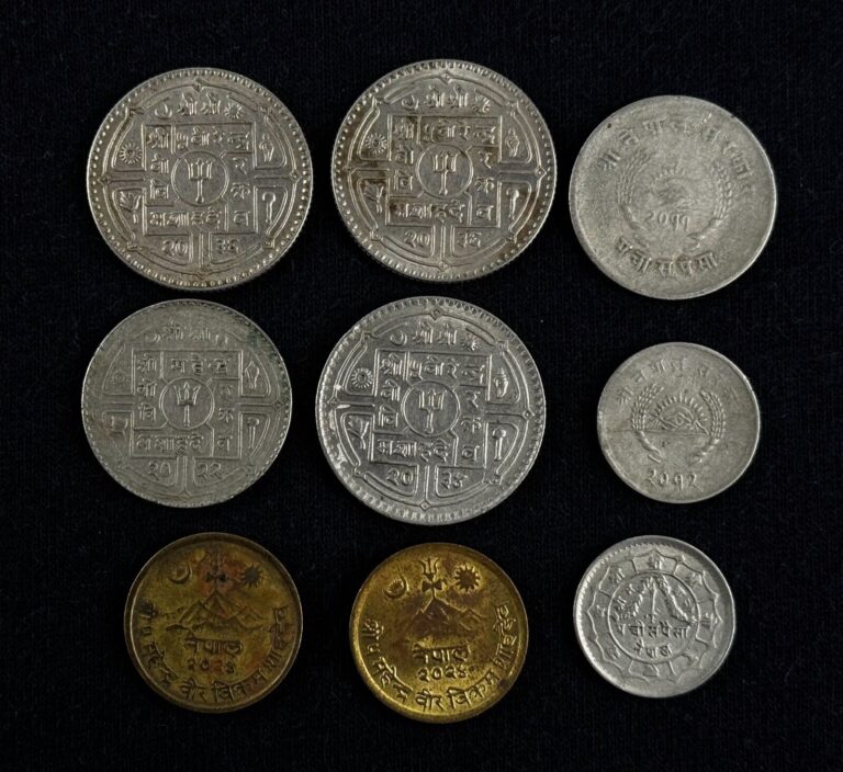 Read more about the article OLD Nepal Coin LOT Nepalese RUPEE PAISA Coins MIXED LOT