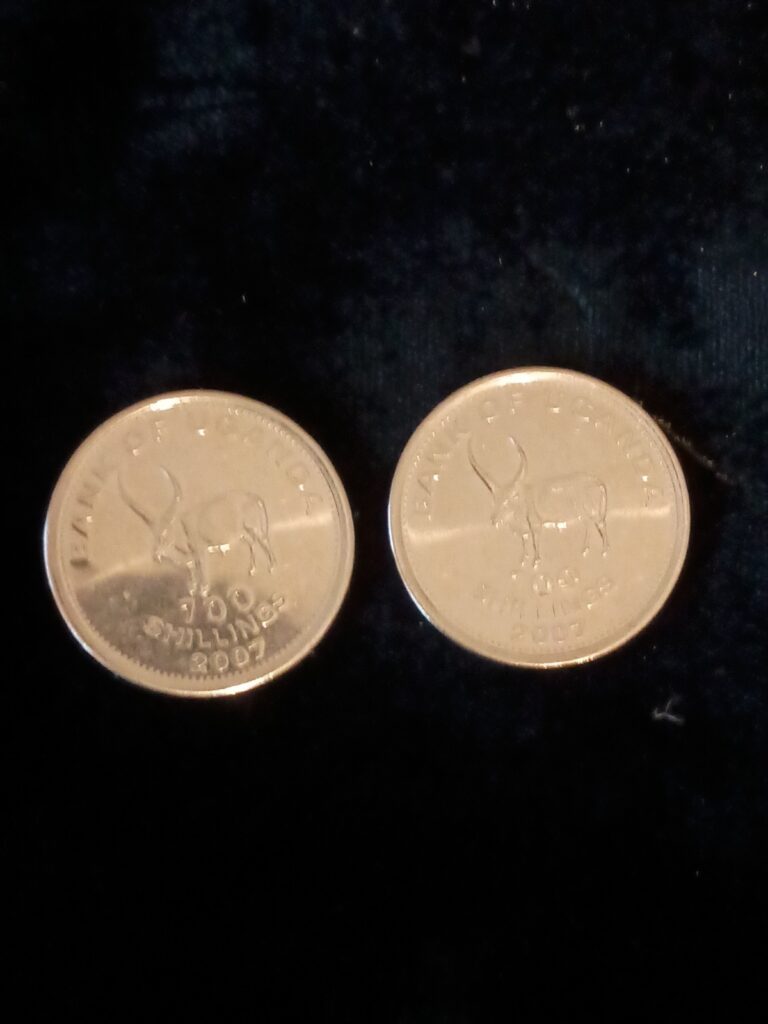 Read more about the article Lot of 2 Uganda  100 Shillings Coins 2007 as shown in photos