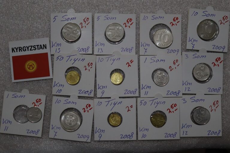 Read more about the article KYRGYZSTAN – 13 COINS COLLECTION HIGH GRADE B49 #506