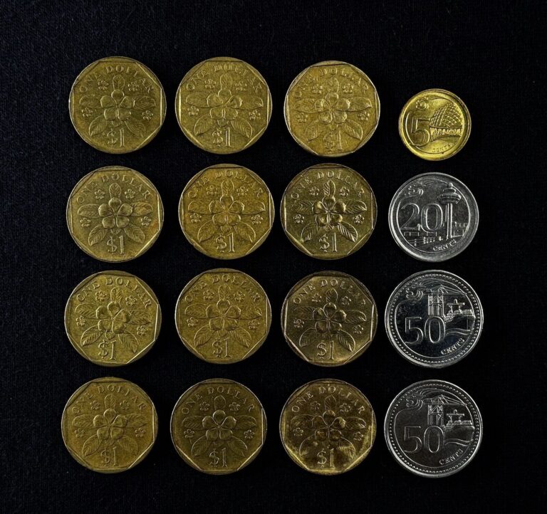Read more about the article Singapore Coin LOT * 1987-2016 ** Singapore $1 DOLLAR Coins 50¢ 20¢ and 5¢ CENTS
