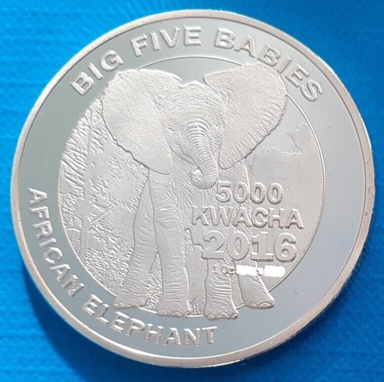 Read more about the article Zambia 5000 kwacha 2016 UNC Baby Elephant Silver Plated Coin