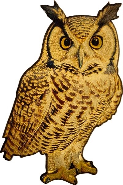 Read more about the article 2025 Congo .999 Gold Color Coin Owl Unusual Owl-Shaped Proof Wildlife Fauna WWF