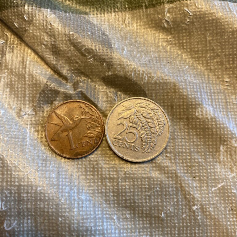Read more about the article TRINIDAD and TOBAGO 🇹🇹  1983 25 Cents  1976  1 Cent – 2 Coins