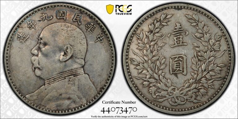 Read more about the article 1920 (九) China “Fat Man” Silver Dollar/Yuan PCGS  VF Details – Y-329.6 LM-77