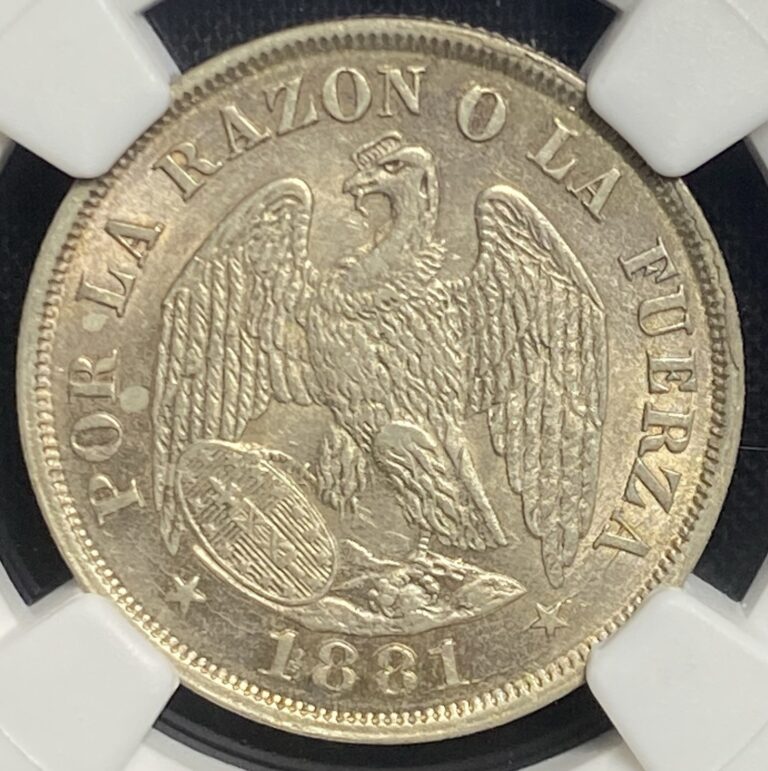 Read more about the article CHILE 1881 Republic Silver 20c 20 Centavos Cents Coin  Rare High Grade NGC AU