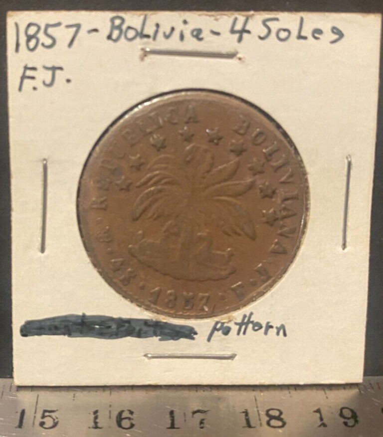 Read more about the article BOLIVIA  1857  4 SOLES  copper  pattern?  circulated