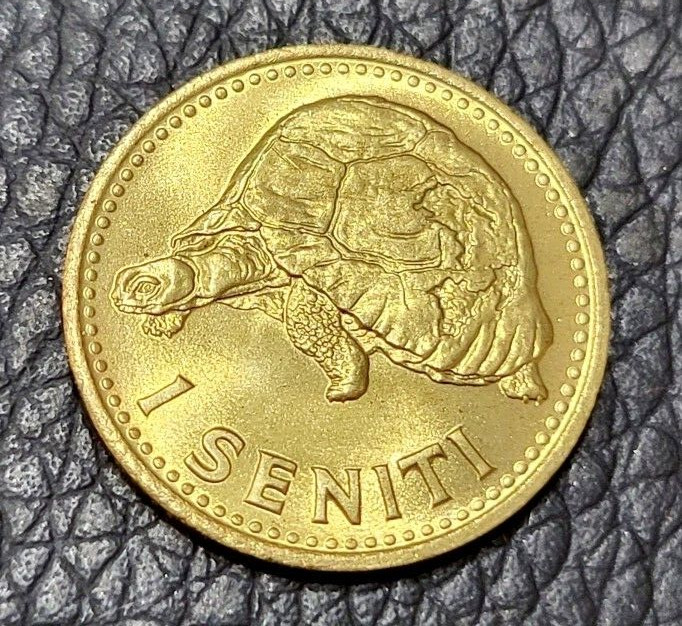 Read more about the article 1974 Tonga 1 Seniti Coin