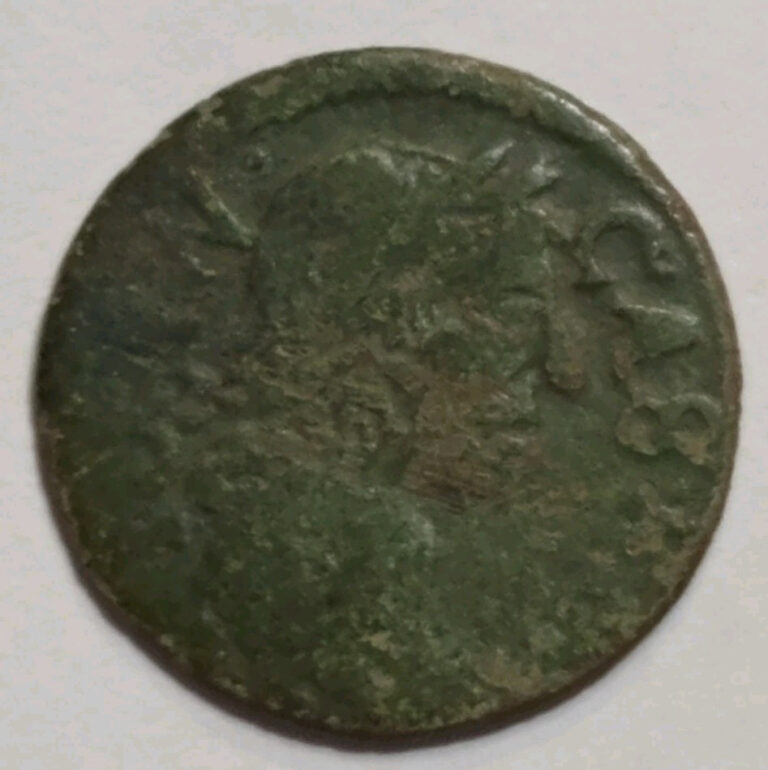 Read more about the article Vintage 1660-1666 AD Polish Lithuania Krakow Solidus. An Ancient  Rare Coin.