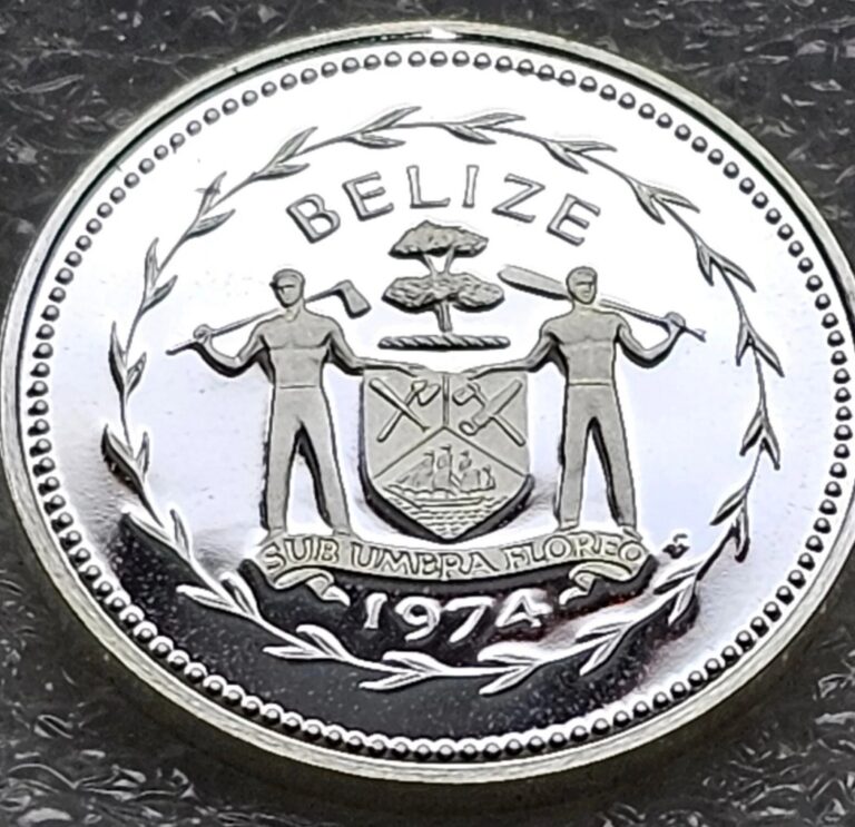 Read more about the article 1974 BELIZE 1 Cent Silver PROOF COIN Swallow-Tailed Kite Old Genuine # 1101