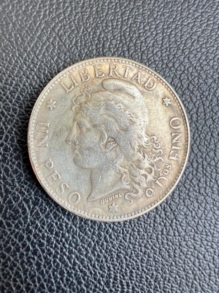 Read more about the article Coin 1 Peso 1881 Argentina