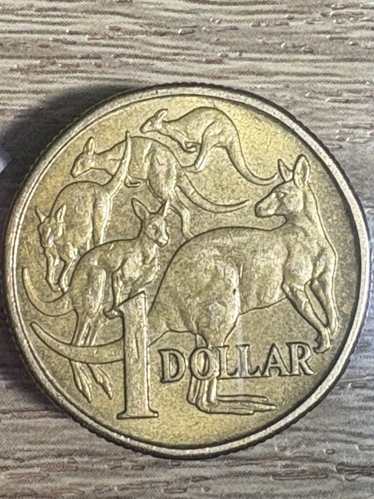 Read more about the article Mule Type Coin Stunning Australia 1 Dollar Elizabeth II 1984 Uneven Double Rim