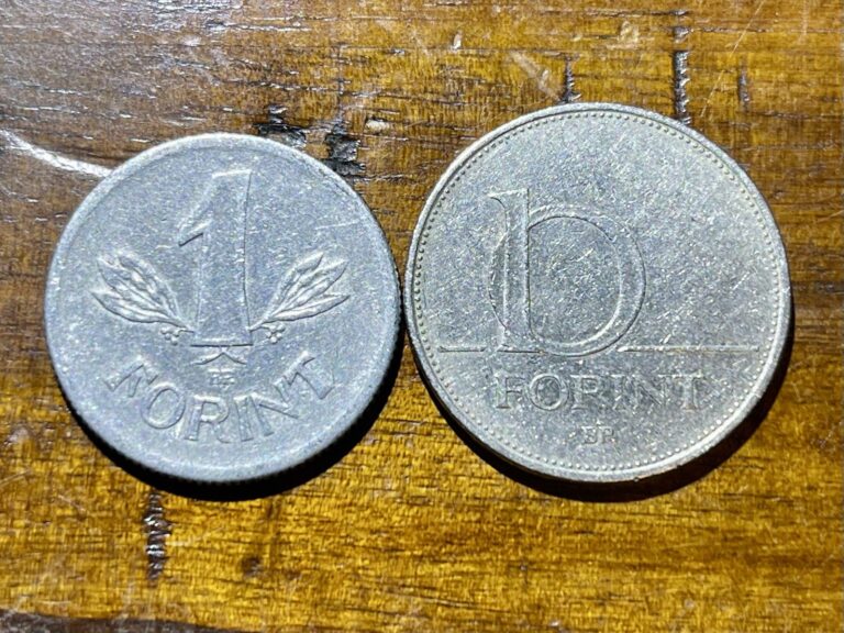 Read more about the article Lot of 2 Hungary 🇭🇺 Coins 1968 1 Forint and 2001 10 Forint -We Combine Shipping!