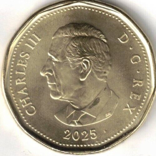Read more about the article 2025 Canadian First Strike Brilliant Uncirculated KCIII One Dollar Coin!