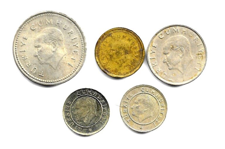 Read more about the article TURKEY COINS – LOT OF 5 DIFFERENT COINS. (CNS 3940)