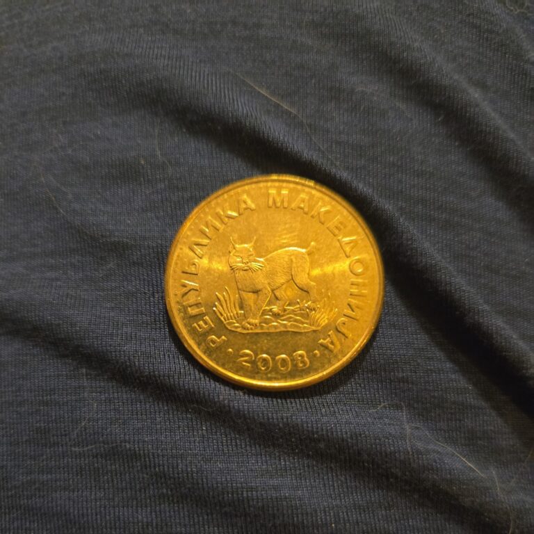 Read more about the article MACEDONIA 5 DENAR 2008 HIGH GRADE COIN