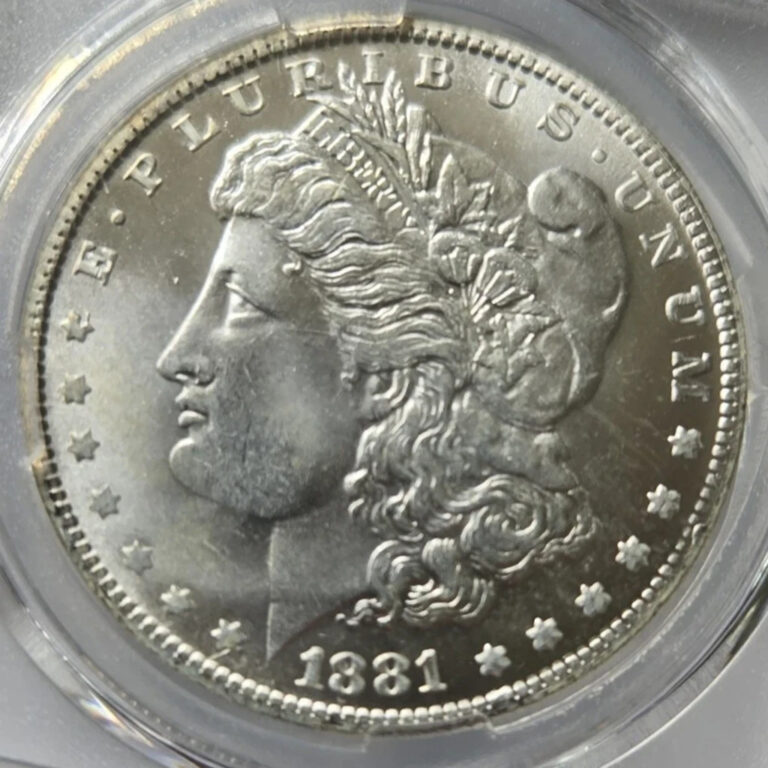 Read more about the article Morgan Silver Dollars 1881 CC  Coin Lot Uncirculated Mixed Dates BU✈️US