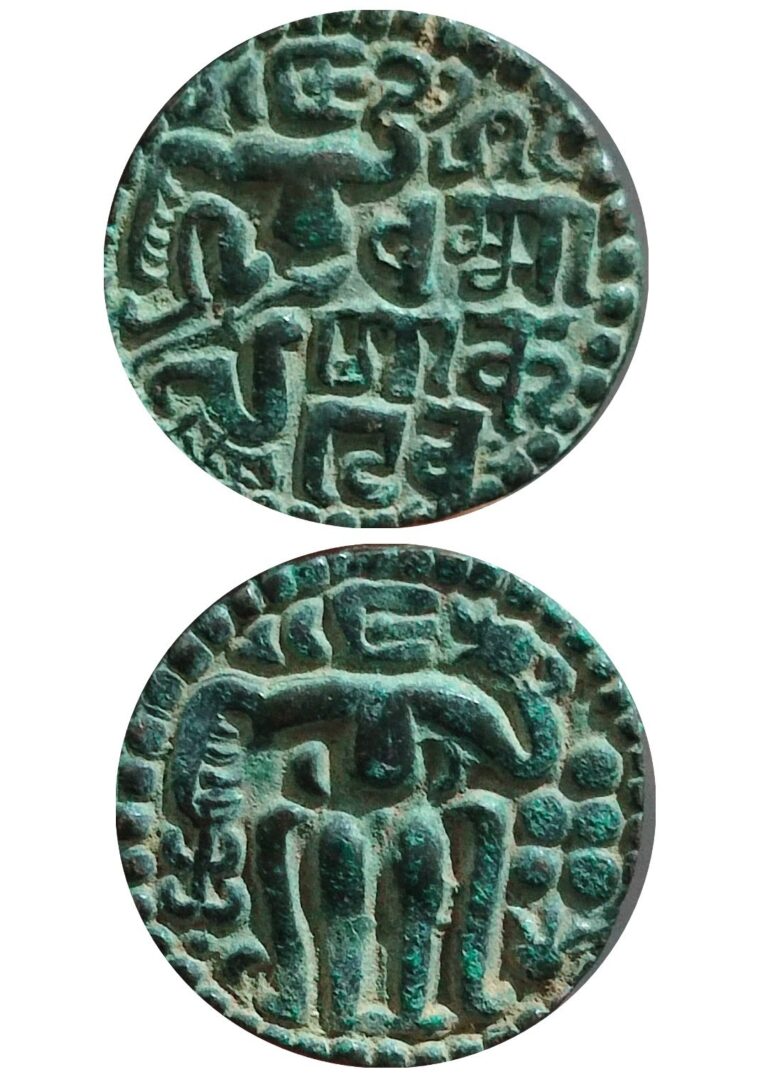 Read more about the article Sri Lanka Ancient Ceylon Coin King Dharmashokadeva (1208-1209) Rare