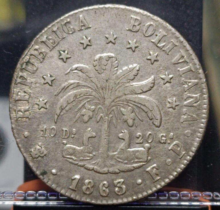 Read more about the article 1863 Bolivia 8 Soles