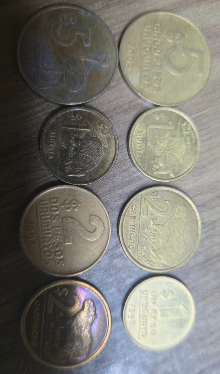 Read more about the article coins Uruguay 8 pcs