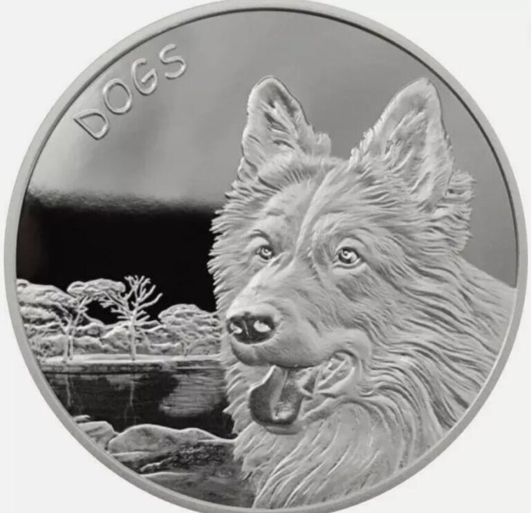 Read more about the article 2023 1 oz Fiji Dogs silver Proof like coin in capsule