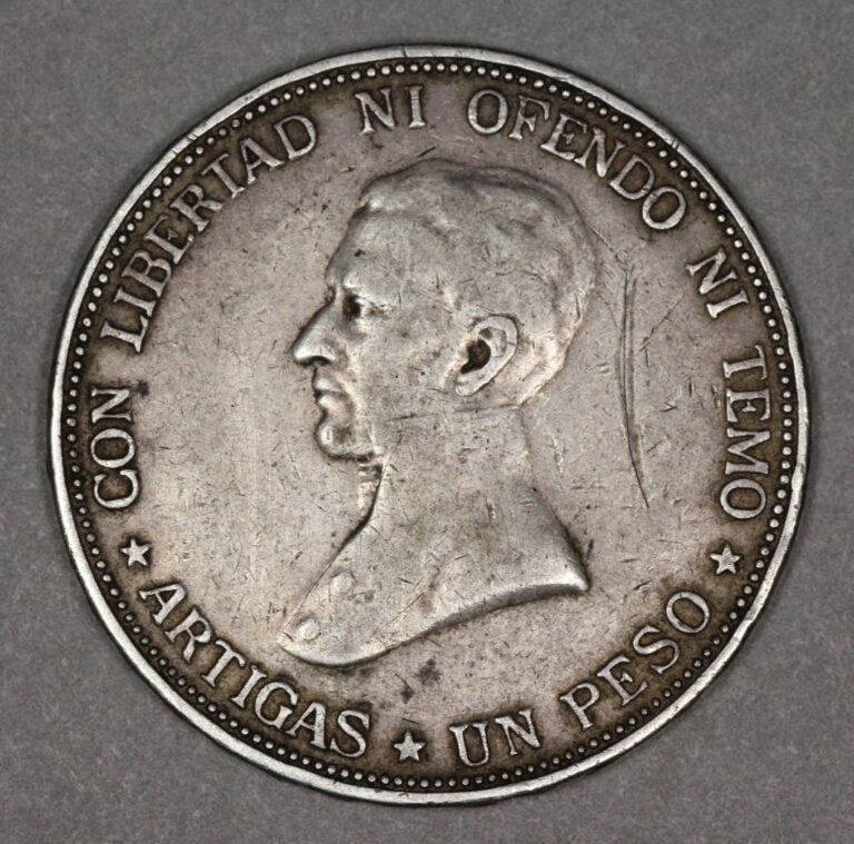 Read more about the article 1917 Uruguay Silver Peso