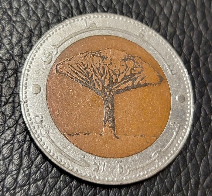 Read more about the article 2004 Yemen 20 Rials Coin