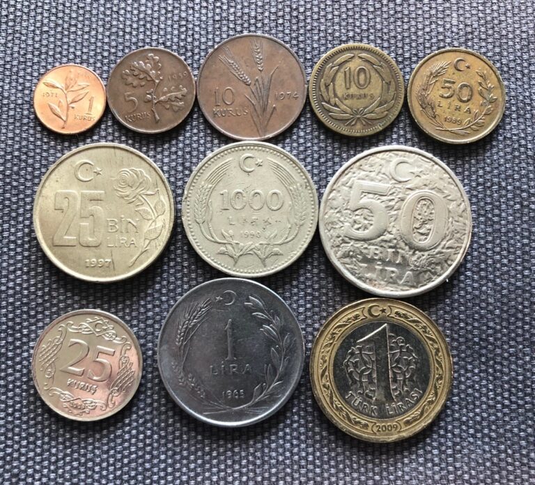 Read more about the article Turkey 🇹🇷 🦃 Lot Of 11  World Foreign Coins