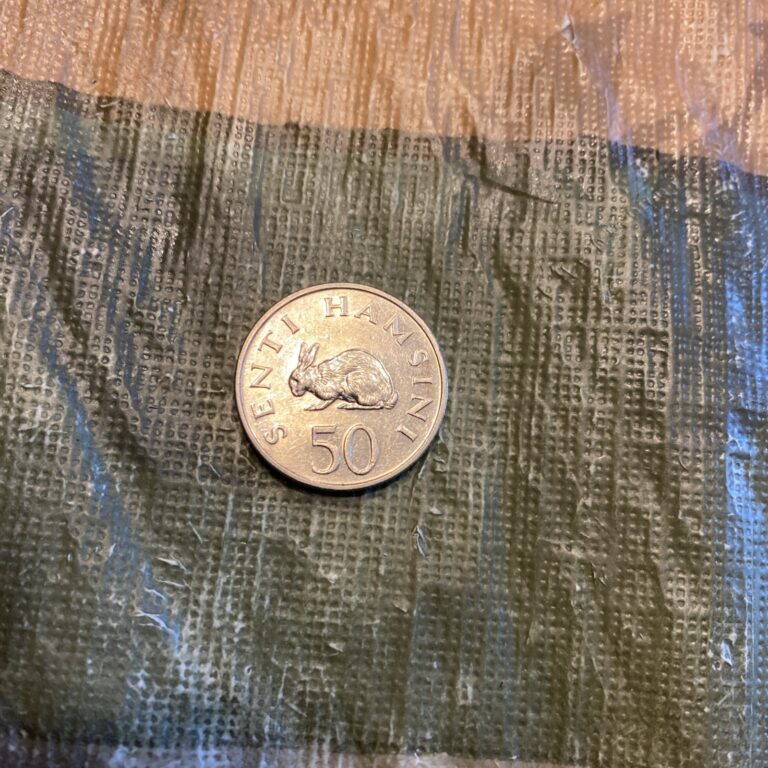 Read more about the article 1990 Tanzania 50 Senti – Beautiful Coin –