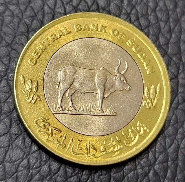 Read more about the article 2006 Sudan 20 Piastres Coin