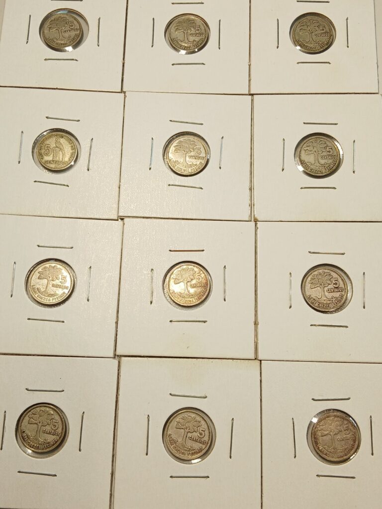 Read more about the article Silver Guatemala 0.720 5 centavos coins (12 in total)