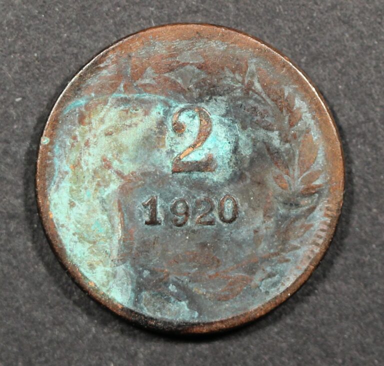 Read more about the article 1920 Honduras 2 Centavos