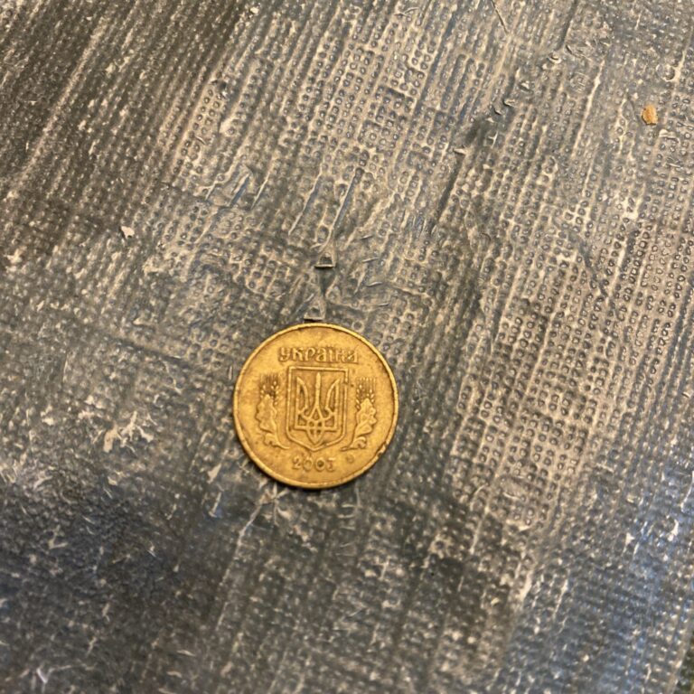 Read more about the article Ukrainian Coin 10 Kopiiok | Ukraine | 2003