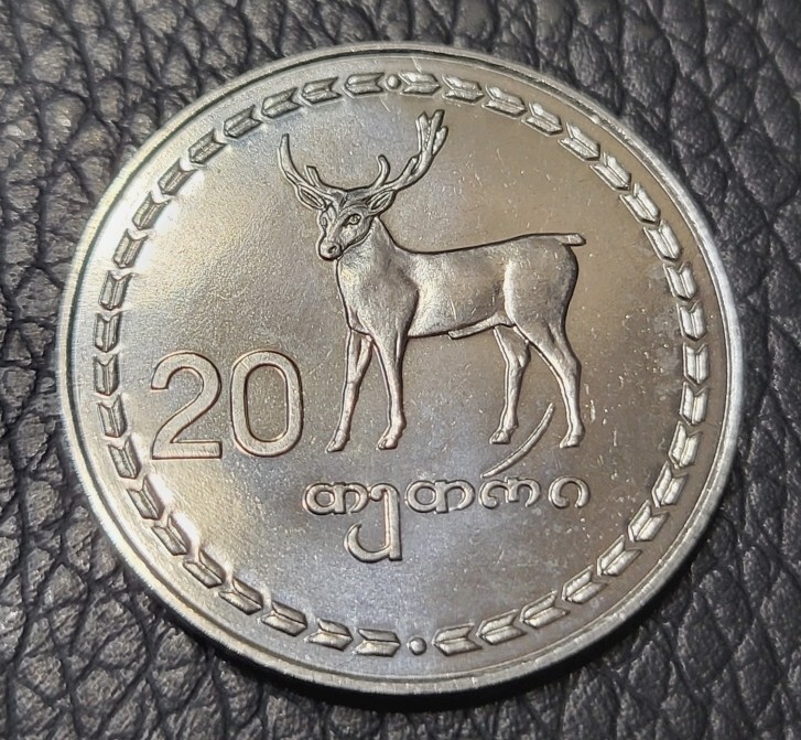 Read more about the article 1993 Georgia 50 Tetri Coin