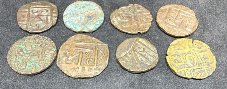 Read more about the article Lot Of 8 Bhutan 1/2 Rupee Coins