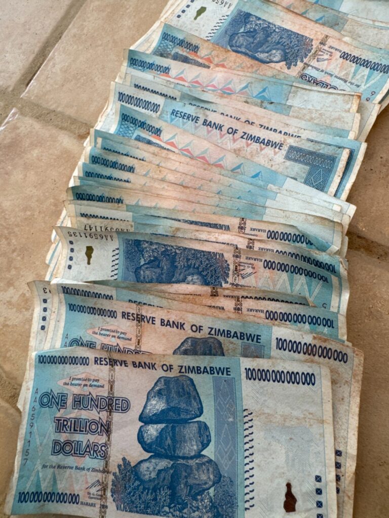 Read more about the article 🇿🇼 ZIMBABWE 100 TRILLION DOLLAR  SERIES AA/2008  P-91 CIRCULATED 🇿🇼