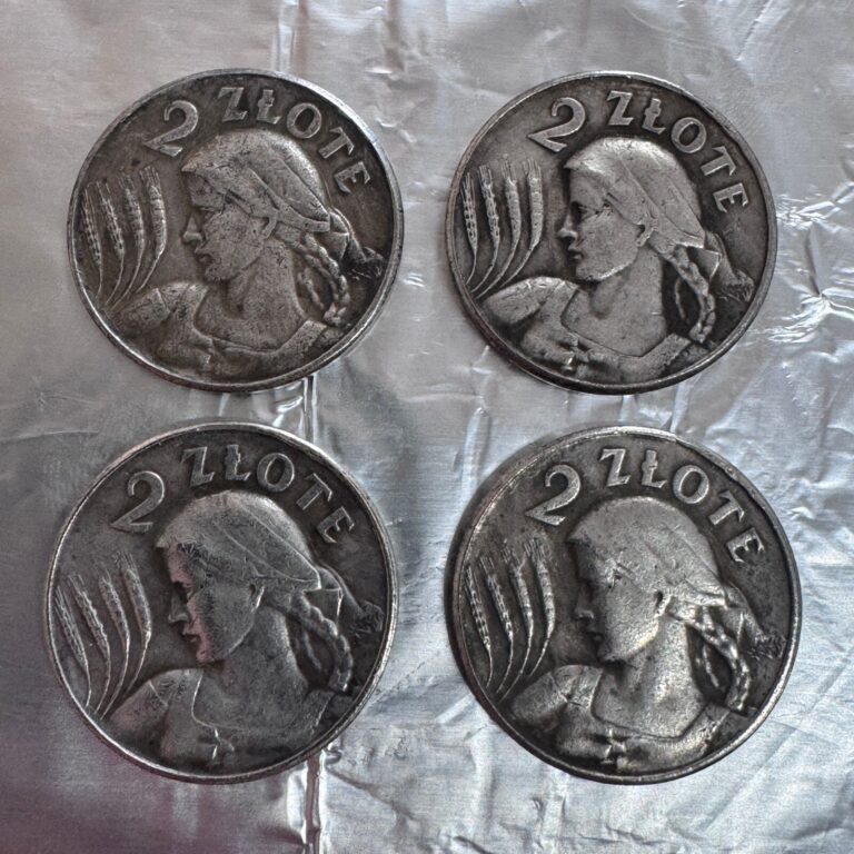 Read more about the article Set 4 Coins 2 zlote 1924 Poland