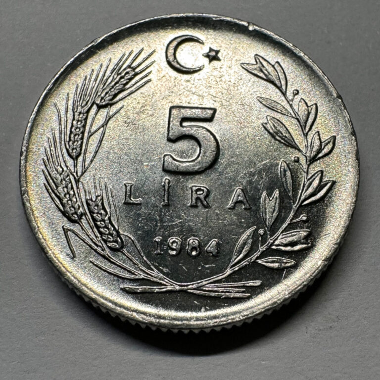 Read more about the article 1984 Turkey 5 Lira – Beautiful Coin – #A-008-B
