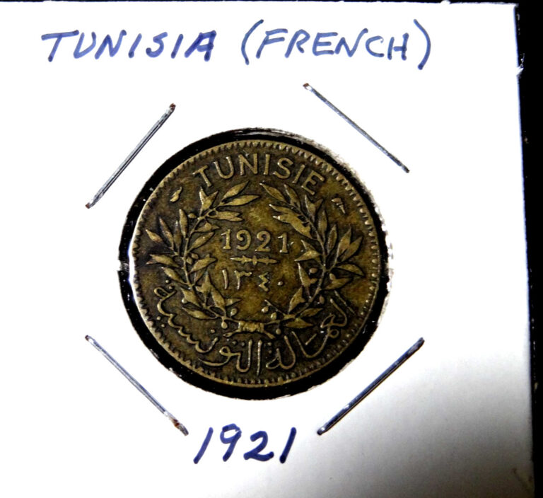 Read more about the article 1921 Tunisia 1 Franc World French Coin