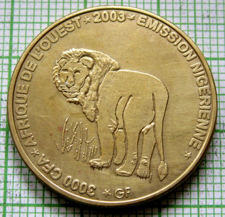 Read more about the article NIGER 2003 2 AFRICA or 3000 CFA COIN  LION  IDAO COINAGE Brass Unusual