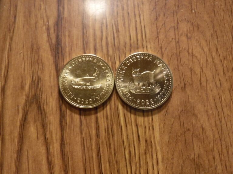 Read more about the article MACEDONIA 2 COIN SET 2  5 DENARI 2022 TWO UNCIRULATED COINS (T293)