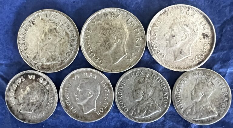 Read more about the article British South Africa Coins (Lot of 7) .80 Silver Coins (See Description)