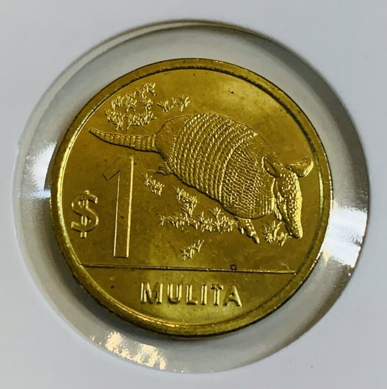 Read more about the article 2012 Uruguay 1 Peso Coin KM#135 Armadillo Mulita UNC Wildlife Animal Themed