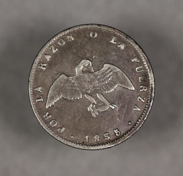 Read more about the article 1855 Chile Silver 1/2 Decimo