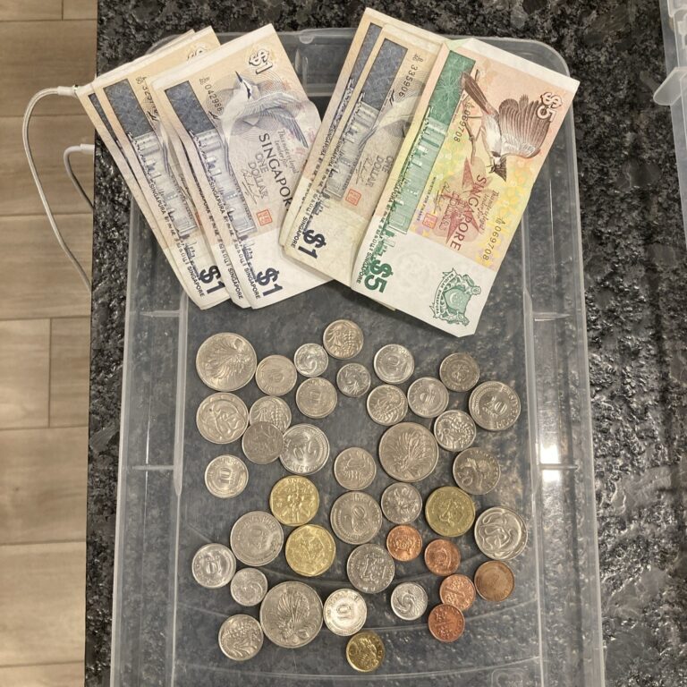 Read more about the article SINGAPORE Coin Lot. Collection Of Coins From Singapore W/ Bills – {IDS}