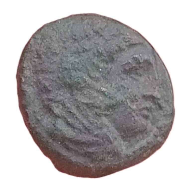 Read more about the article Greek Bronze Coin–Alexander The Great III of Macedonia.