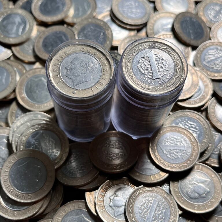 Read more about the article One Full Tube (25) Bimetal Turkish Lira Coins