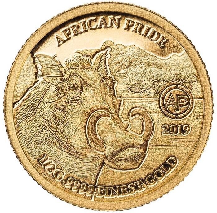 Read more about the article 2019 Niger Wild Pig 9999 Gold Proof Coin Warthog African Fauna Wildlife WWF RARE
